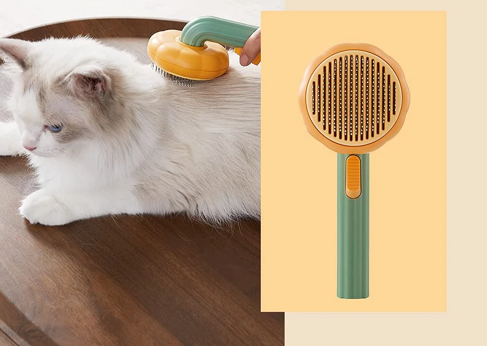 kat wordt geborsteld met de leuke pompoen borstel